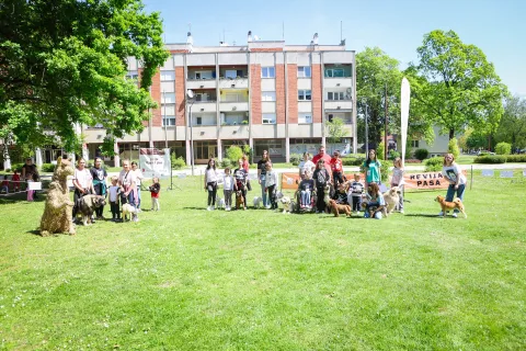 Beli&scaron;će - Revija "Dijete i pas", 2026.