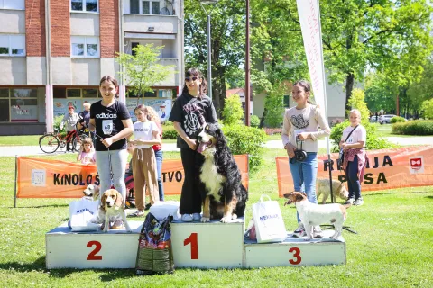 Beli&scaron;će - Revija "Dijete i pas", 2026.