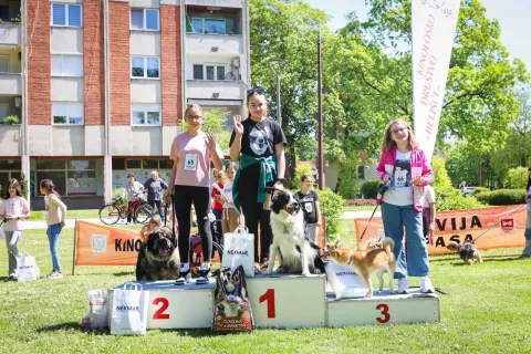 Beli&scaron;će - Revija "Dijete i pas", 2026.