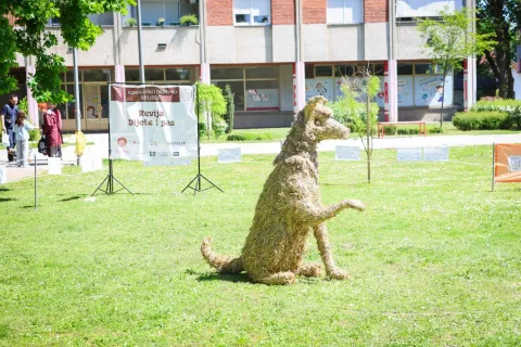 Beli&scaron;će - Revija "Dijete i pas", 2026.