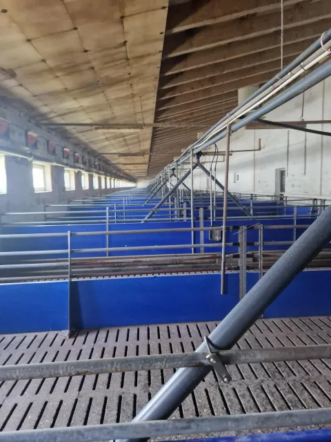 Sokolovac podravka agri