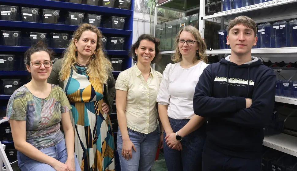 	NOVO OTKRIĆE RUĐEROVACAZnanstvenici IRB-a otkrili molekularne &scaron;kare ključne za prve sate razvoja embrijatravanj 2026.