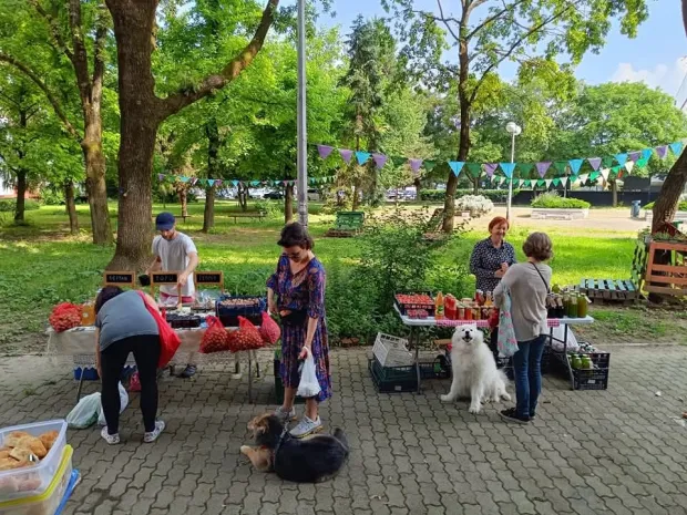 Odvojeno prikupljanje otpada &scaron;iri se, no zaostajemo u obradi