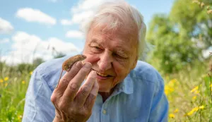 David Attenborough