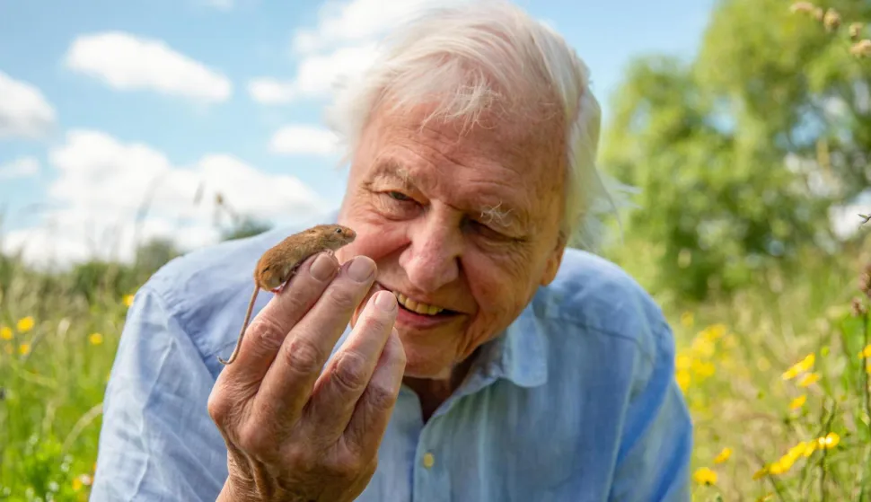 David Attenborough