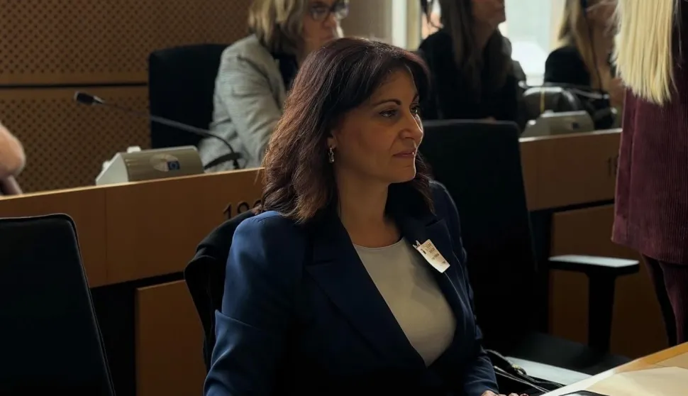 Županica Nata&scaron;a Trami&scaron;ak sudjelovala je u Bruxellesu na konferenciji "Right to Stay" (Pravo na ostanak)svibanj 2026.