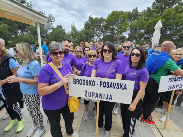 Brodsko-posavska županija