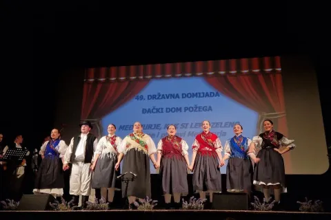 Đački dom Požega, 49. Domijada