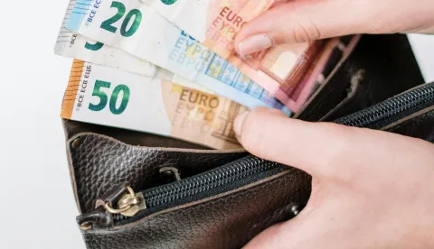 novčanik, plaća, novac, euro, euri