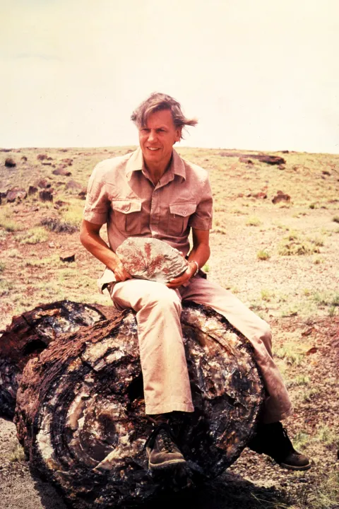 Picture Shows: David Attenborough during filming for the 1979 Life on Earth series.