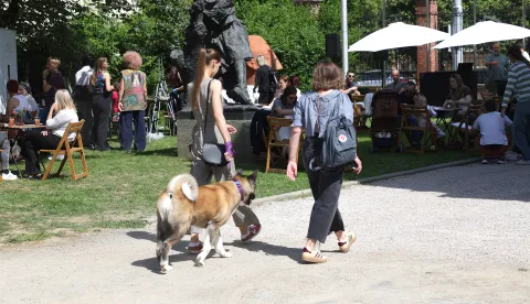 Osijek, 23. 05. 2026., MLU, In da brunch SNIMIO BRUNO JOBST