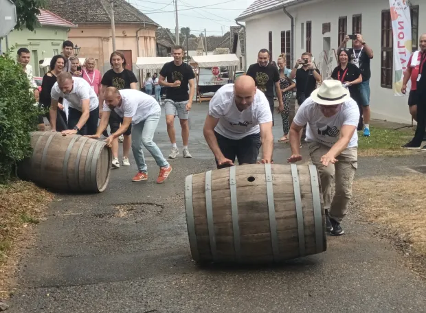 Vinatlon, Zmajevac