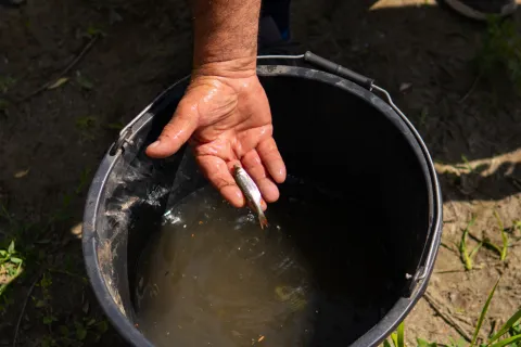 Josipovac, 5. 6. 2026., &Scaron;kola u prirodi, Izleti&scaron;te Stara Drava Josipovac&scaron;kola u prirodi; izleti&scaron;te; Stara Drava; učenici; &scaron;kolarci; učenje; priroda; sudionici; &Scaron;RK Linjak