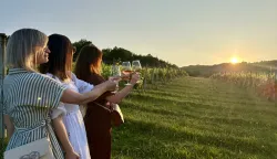 Zalazak u vinogradu Meridiana Slavonica, u Stupničkim Dvorimapobjednička fotka 2025.