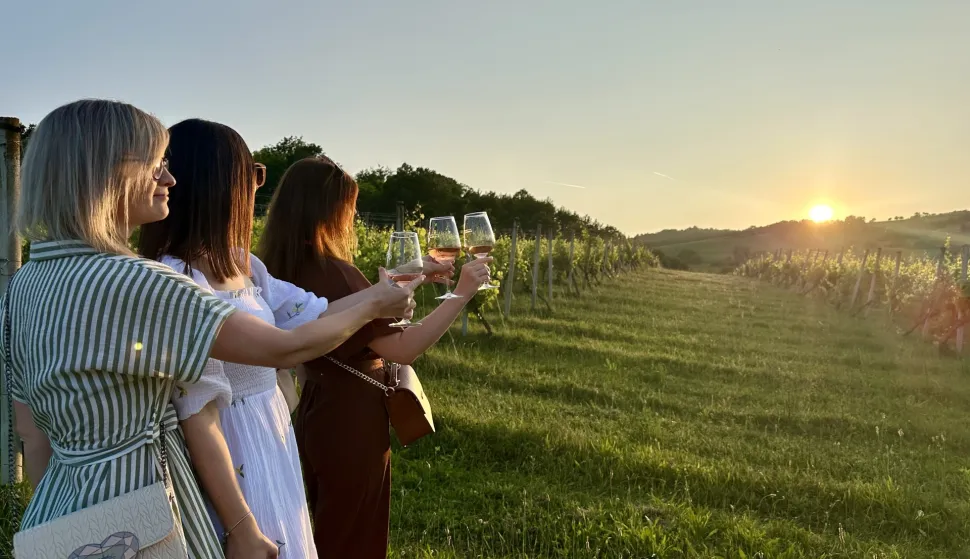 Zalazak u vinogradu Meridiana Slavonica, u Stupničkim Dvorimapobjednička fotka 2025.