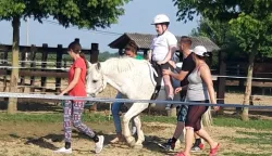 vinkovci - terapijsko jahanjeSatir?