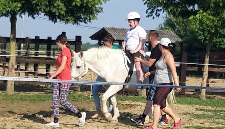 vinkovci - terapijsko jahanjeSatir?