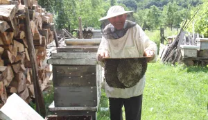 STJEPAN OKRUGIĆ I S 94 GODINE JO&Scaron; UVIJEK PČELARISNIMIO: VLADIMIR GRGURIĆ