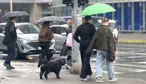 Osijek, 07. 05. 2026., ki&scaron;a, ki&scaron;obran, ki&scaron;ni dan, oblačno vrijeme; slobodnjak, slobodnjaciSNIMIO BRUNO JOBST