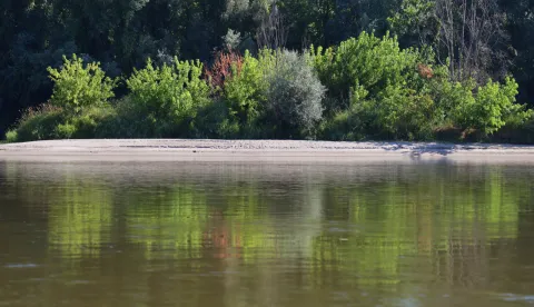 Osijek, 19. 07. 2025., rijeka Drava, Drava, vožnja čamcem, čamac, ljeto, priroda, sprudSNIMIO BRUNO JOBST