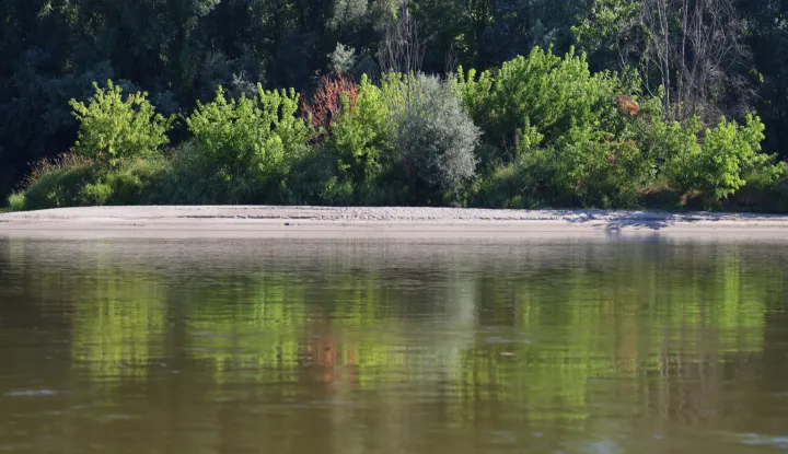 Osijek, 19. 07. 2025., rijeka Drava, Drava, vožnja čamcem, čamac, ljeto, priroda, sprudSNIMIO BRUNO JOBST