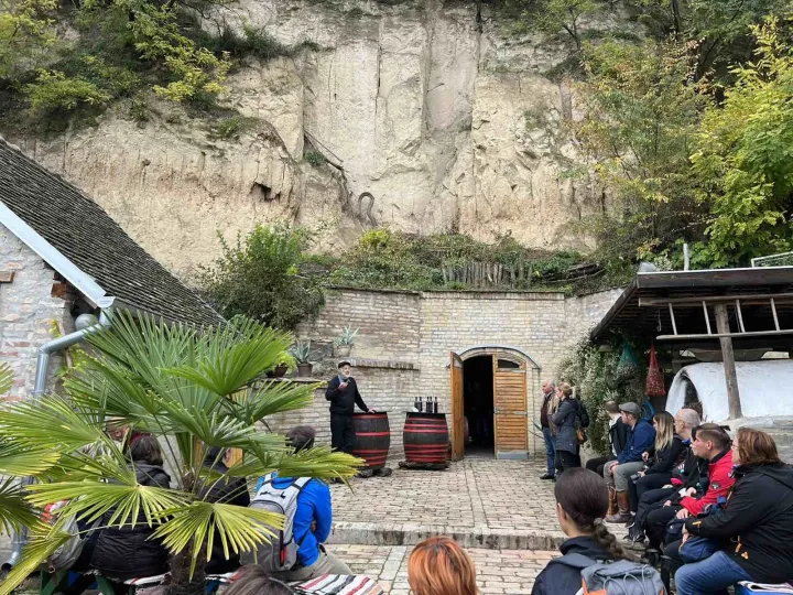 Vinarium Borarium, Zmajevac