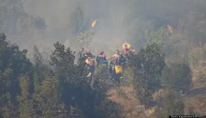28.06.2025. Ljubuski, Bosna i Hercegovina, Pozar koji je planuo u noci s petka na subotu negdje oko ponoci jos uvijek nije ugasen. Vatra je zahvatila gustu borovu sumu, makiju i nisko raslinje jos uvijek nije ugasen. Gasenje vatre otezava jak vjetar koji ne jenjava. Na terenu su vatrogasci iz Zupanije Zapadnohercegovacke, Hercegbosanske zupanije i Hercegovacko-neretvanske zupanije Photo: Denis Kapetanovic/PIXSELL