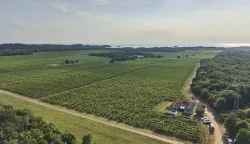 Agrolaguna je proizvela i na trži&scaron;te plasira prvo hrvatsko bezalkoholno vino kaoodgovor na globalno rastući trend njegove konzumacije.
