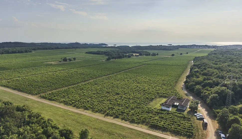 Agrolaguna je proizvela i na trži&scaron;te plasira prvo hrvatsko bezalkoholno vino kaoodgovor na globalno rastući trend njegove konzumacije.