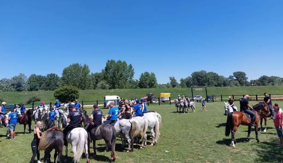 Konjogojci na Papu&scaron;kinom stanu u Županjiarhiva