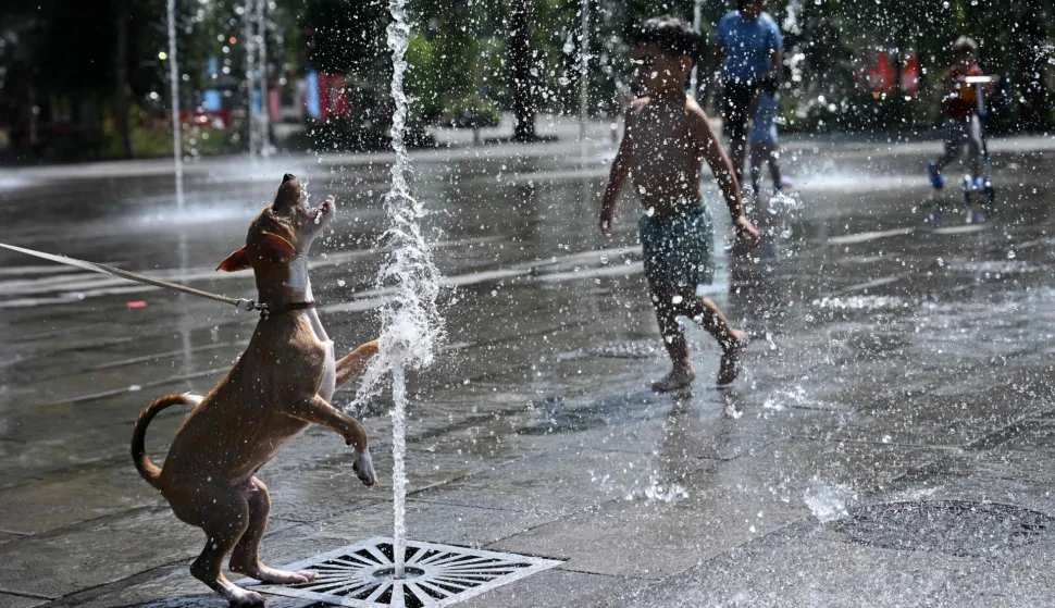 A dog plays with water sprays during a heatwave in Brussels on June 25, 2026. At least 101 million Europeans were expected to experience temperatures of over 35C on June 25, 2026, in a punishing and increasingly deadly heatwave hotter than weather in parts of Africa. (Photo by Nicolas TUCAT/AFP)