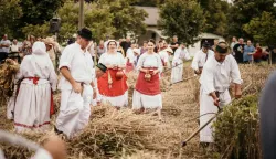 Žetva i vr&scaron;diba u pro&scaron;losti u Županjifoto: TZ Županje