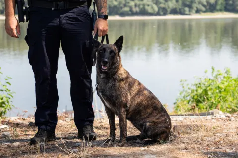 Dalj, 30. 6. 2026., Policijska postaja Dalj - obilazak K9 Freya; policijski pas; Dalj; policija; policijska postaja; granična policija