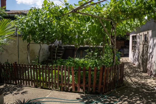 Osijek, 26. 6. 2026., Dragutin Medvedec, produžio vozačku dozvolu u devedeset četvrtoj godini Dragutin Medvedec; vozačka dozvola; starija životna dob; umirovljenik; vozač