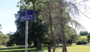 Osijek, 31. 07. 2023, Oblazak stabaal s Alkom Turalijom, Park kralja Petra Kresimira IV. Ulica republike, Gunduliceva ulica, i Sjenjak.snimio GOJKO MITIĆ