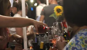 Osijek, 05. 07. 2025, Večer Vina i umjetnosti, Perijvoj kralja Toislava, dan drugi.snimio GOJKO MITIĆ