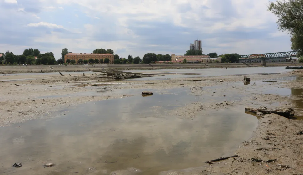 Osijek, 11. 07. 2026, Poviesno nahniži vodostaj Drave, Drava Lijev i desna obala, Podravlje, kod Tvrđe, Pampas.snimio GOJKO MITIĆ