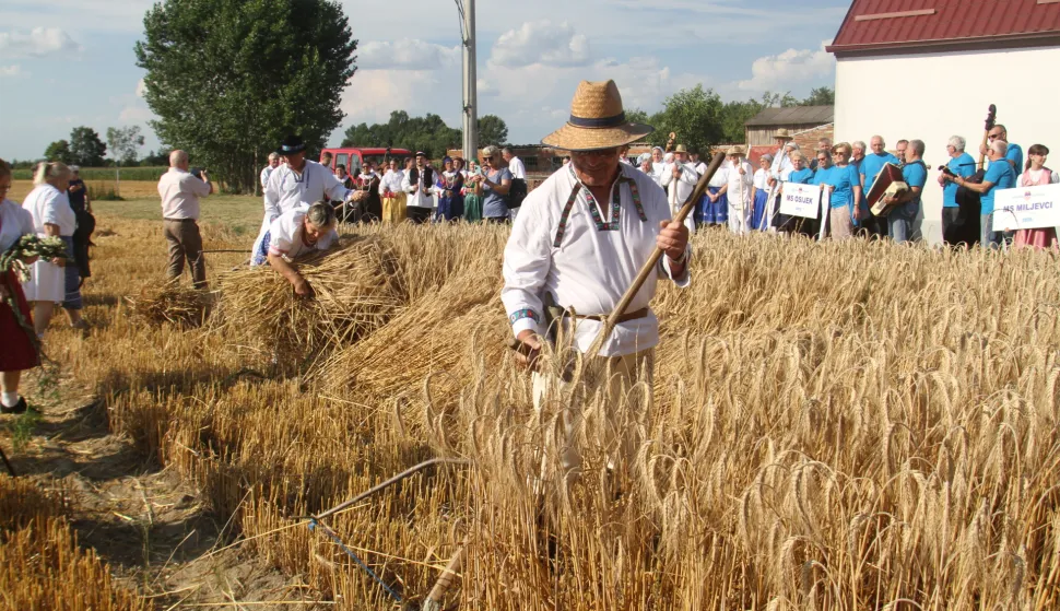 ASK nije pomrsio planove za Žetvene svečanosti Slovaka u Hrvatskoj