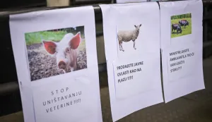 01.07.2026., Zagreb - U organizaciji Gradanske inicijative za spas hrvatskog stocarstva i Udruge veterinarskih organizacija Hrvatske odrzan je prosvjed i konferencija za novinare ispred Ministarstva poljoprivrede zbog toga sto je oko 50 gradova i opcina ostalo bez veterinara. Organizatori su istaknuli da je rijec o veterinarima koji su cijepili protiv bjesnoce, bolesti koja se ovih dana vratila u Europu, te koji su jamcili sigurnost mesa i mlijeka na stolovima gradana. Photo: Neva Zganec/PIXSELL