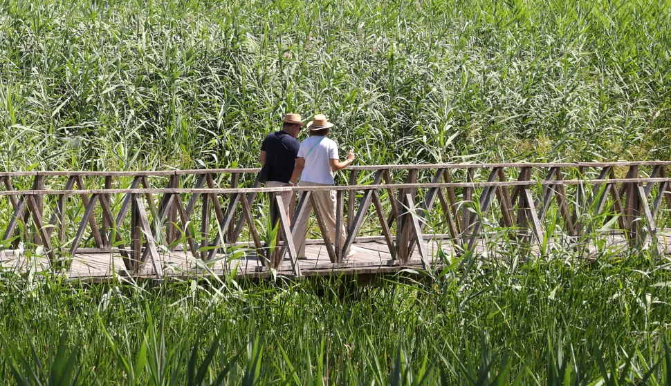 Kopački rit, 02. 07. 2025., Park prirode, Kopački rit, obilazak, kontinentalni turizam, turizam, turisti, turist, ljeto, vrućina, &scaron;etnja, priroda, ilustracijaSNIMIO BRUNO JOBST