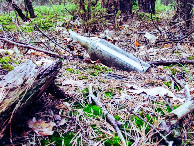 Single glass bottle in the forest.