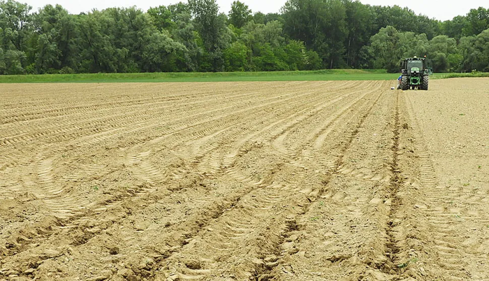 poljoprivreda, državno poljoprivredno zemlji&scaron;te, traktor