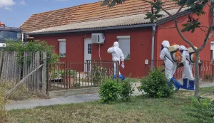 ASK u Općini Jagodnjak - eutanazija svinja