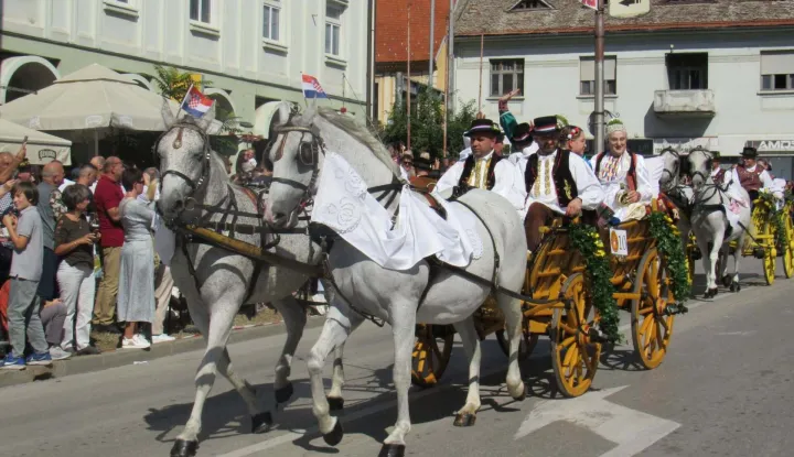 Ukra&scaron;ene svatovske zaprege 