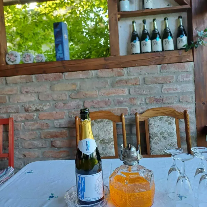 U samom smo srcu turističke sezone koja, iako opterećena iznimno složenom geopolitičkom situacijom i s njom povezanim recesijskim procesima koji slabe kupovnu moć, zasad pokazuje vrlo dobre rezultate.