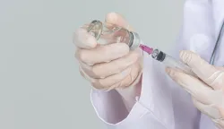 Young doctor is holding hypodermic syringe with vaccine vial rubber gloves on gray background.OSPICE CJEPIVO CIJEPLJENJE