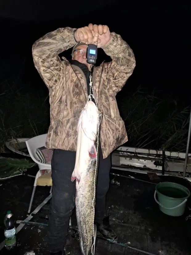 Ivan Pa&scaron;ti na Pu&scaron;ka&scaron;u ulovio soma te&scaron;kog 7,2 kilograma