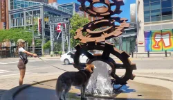 Toronto 2026