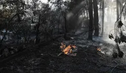 This photograph shows fire burning in a forest in Liti, a village north of Thessaloniki on June 30, 2026. A man was found dead in a fierce forest fire that broke out on June 30, 2026 15 km (9 miles) from Thessaloniki in northern Greece, while a woman was injured, the fire service reported. (Photo by Sakis Mitrolidis/AFP)