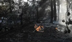 This photograph shows fire burning in a forest in Liti, a village north of Thessaloniki on June 30, 2026. A man was found dead in a fierce forest fire that broke out on June 30, 2026 15 km (9 miles) from Thessaloniki in northern Greece, while a woman was injured, the fire service reported. (Photo by Sakis Mitrolidis/AFP)
